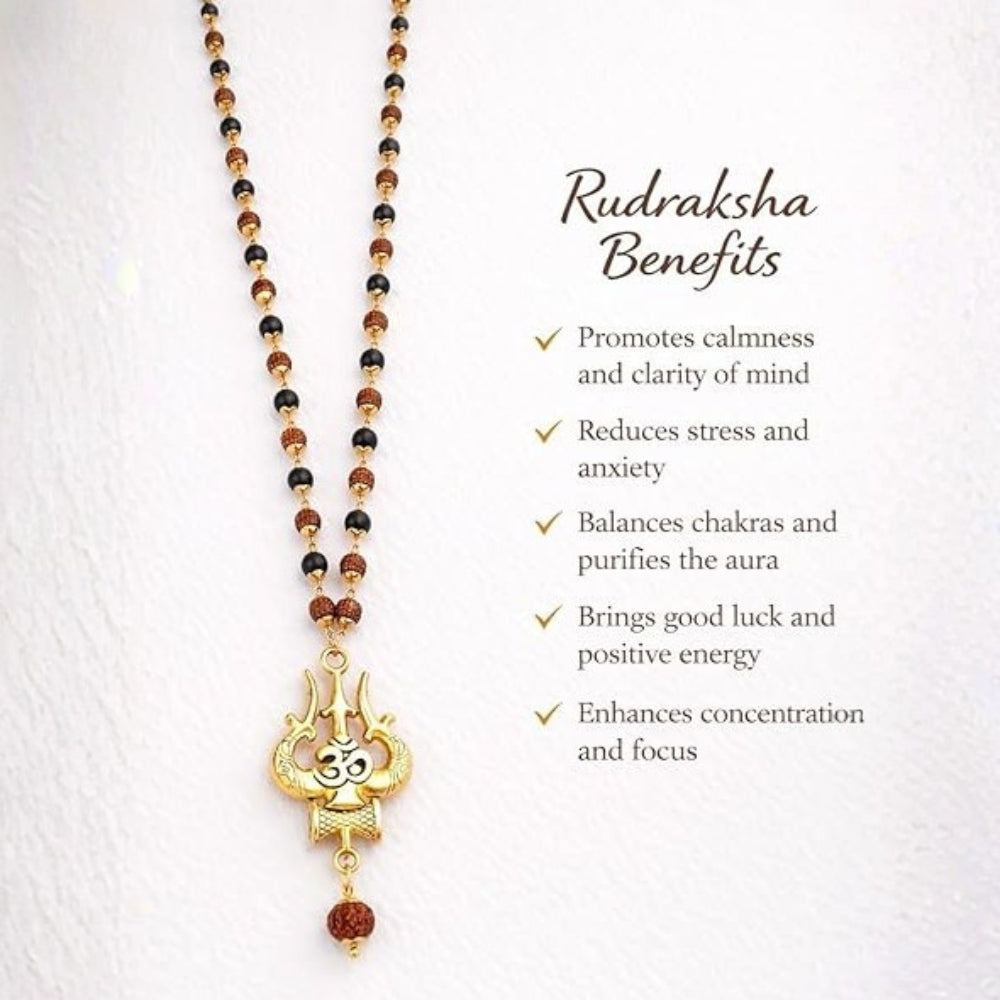Handcrafted black ebony and Rudraksha beads success mala