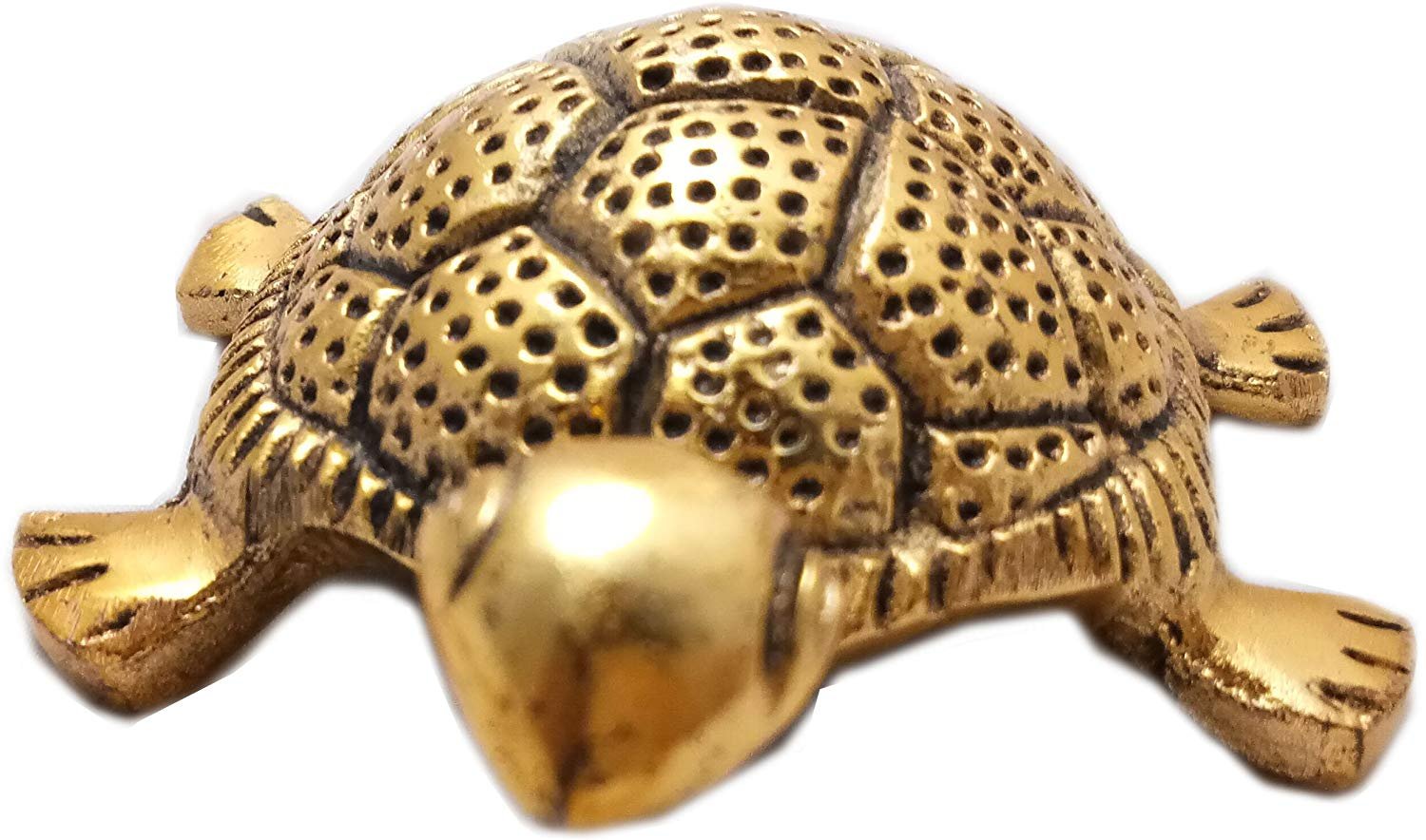 Feng Shui Goldene Schildkröte auf Glasplatte für Glück und Vaastu