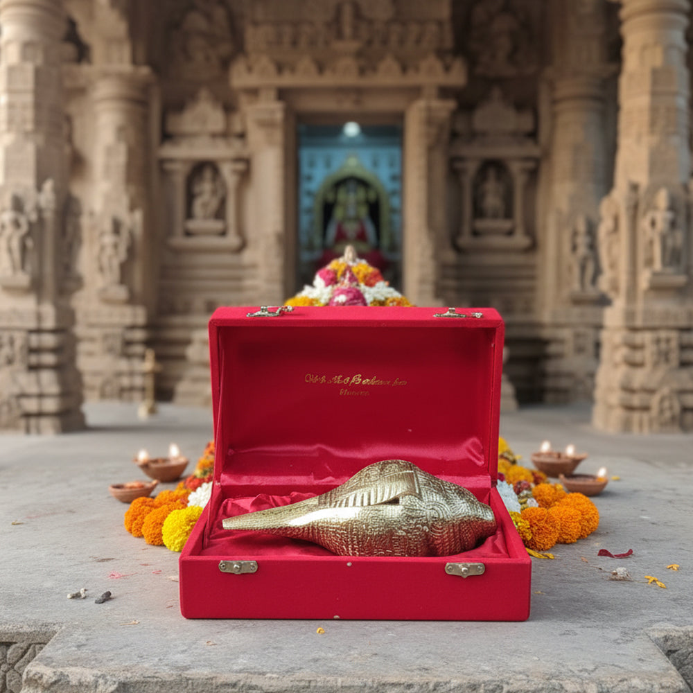Ganesha Shankh | Perfect Spiritual Conch