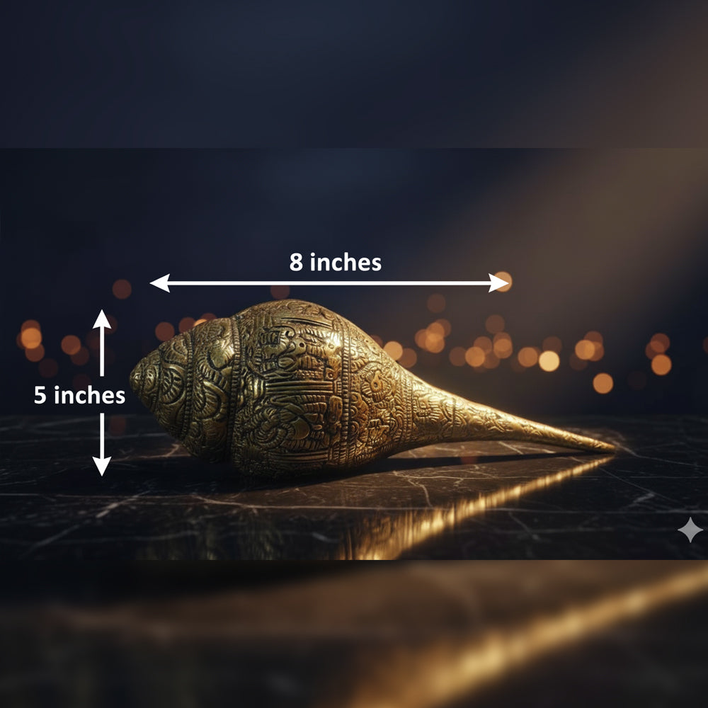 Ganesha Shankh | Perfect Spiritual Conch