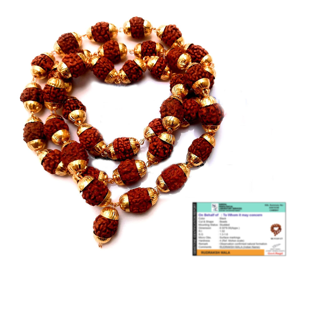 Natural rudraksha mala with gold caps for spiritual protection