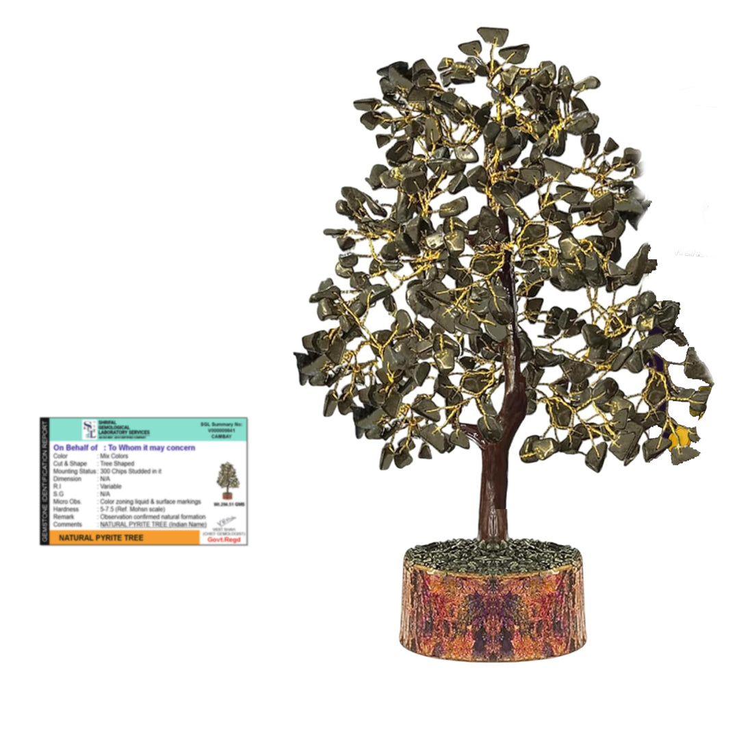 Natural pyrite money tree with golden crystal clusters